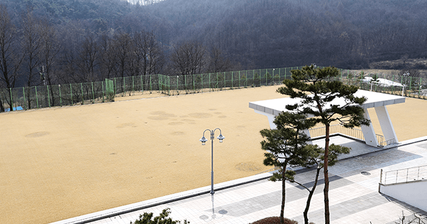 Soccer Field images