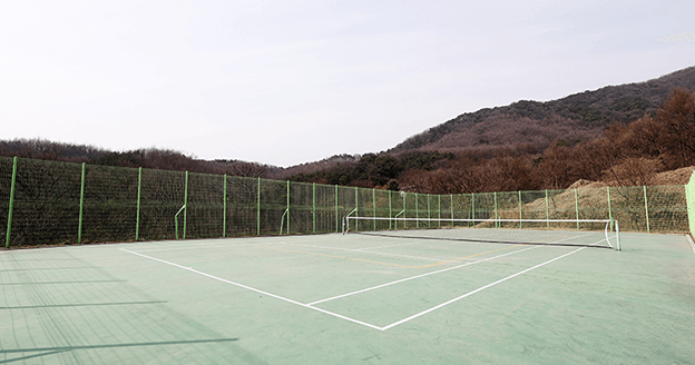 Tennis Court images