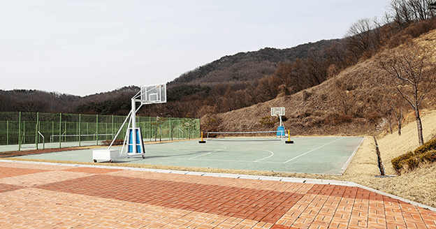 Basketball Court images